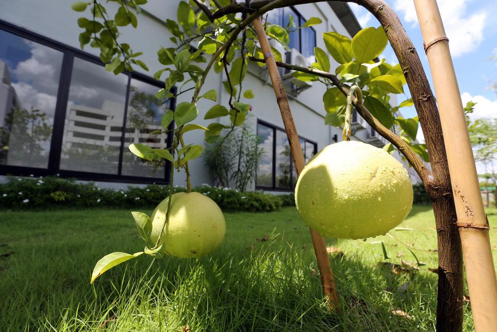 S Ratchada Leisure Hotel - Sha Plus Bangkok Exterior photo Citrus ×sinensis